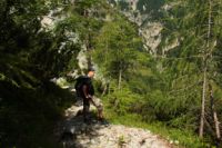 2014-08-02_06FritzPflaum-Steig (159).JPG